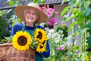 How to Create a Dementia-Friendly Garden