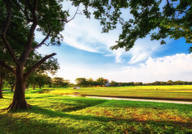 AdobeStock_73280219 - Cahoon Care Associates AdobeStock_73280219